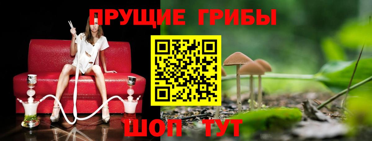 Псилоцибиновые грибы MAGIC MUSHROOMS Серпухов